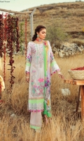 rouche-signature-embroidered-lawn-2020-43